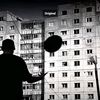 vlad338087