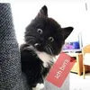 frank.missbach.sc