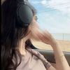 ms_sh16