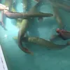dong.ha.tran6