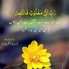 s.iqbal83