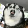 pratonmxx_spellx