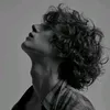 v.i._6