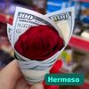 jennymontilla55