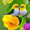 sufyan.jutt234567891