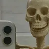 ali.fhg3