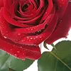 user871513561080