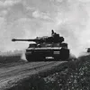 tigreh4