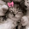 foreverr_taken