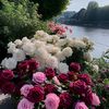 bahar.ali264
