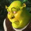 shrekkkqrrl