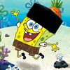 habib_07622
