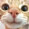 julieanndevilla6