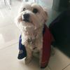 juansrojasperd
