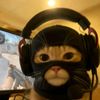 lagi_tryhard.99