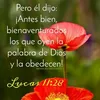 karencita.vilchez4