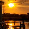 _elvis_2025_