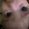 chloe.mae212
