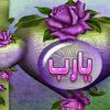 user7954266332045