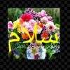 user5544996960377