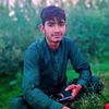 arslan.salamat.7