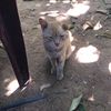 kavi..............0