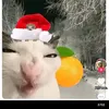 figrii_410