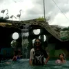 andreapatubo133