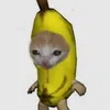 jerkknd04xhamster