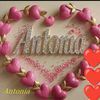 tonia_sonnysplash