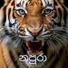 user9833835448616