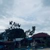 sagii_999