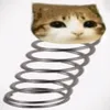 fencmei0