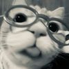 user1323009499440