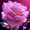 user18357792111676