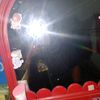pich4839