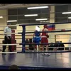 karamizov_01