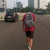 lisofelite