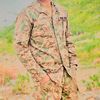 hameed.niazi69