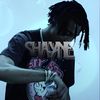 shayne.s24