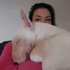 vivtr2
