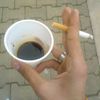 walid_traca