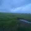 animichanhaiii
