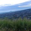 ahmad_m293