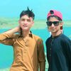 tiger___3131