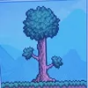 terrarialove._.1