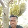 duren12398