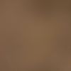 mls01298_