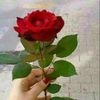 user2465255623560