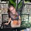 clarissaveline_